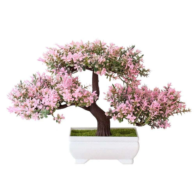 Bonsai potted plants Fendax 0