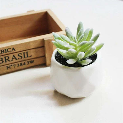 Artificial Succulent Bonsai Creative Ornaments for Home Table Garden Decoration Artificial Plants with Pot Fendax 0