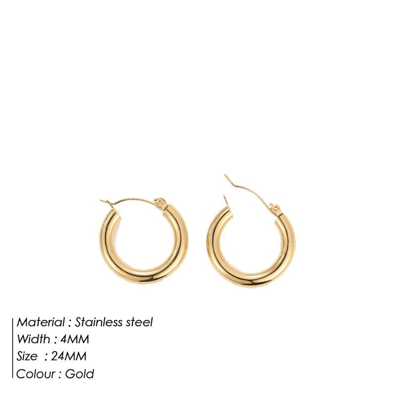 Women's Stainless Steel earrings