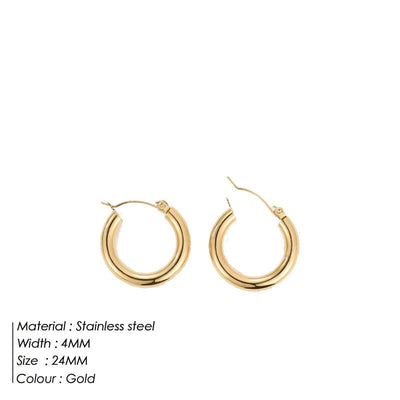 Women's Stainless Steel earrings