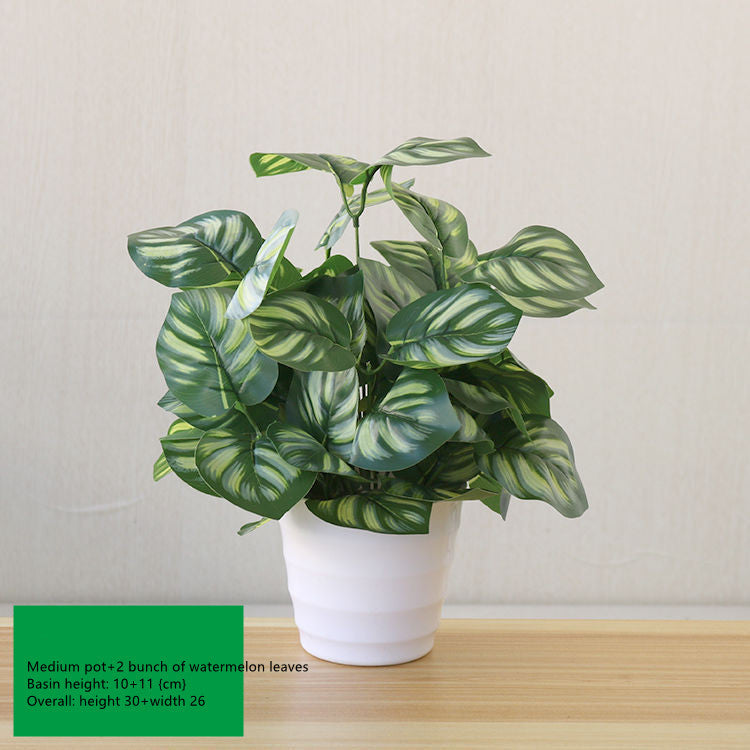 Fake Indoor And Outdoor Decoration