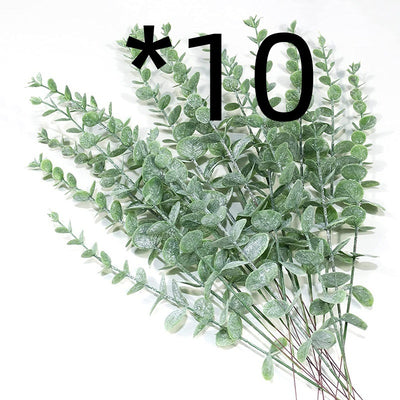 Golden Eucalyptus Decorative plant