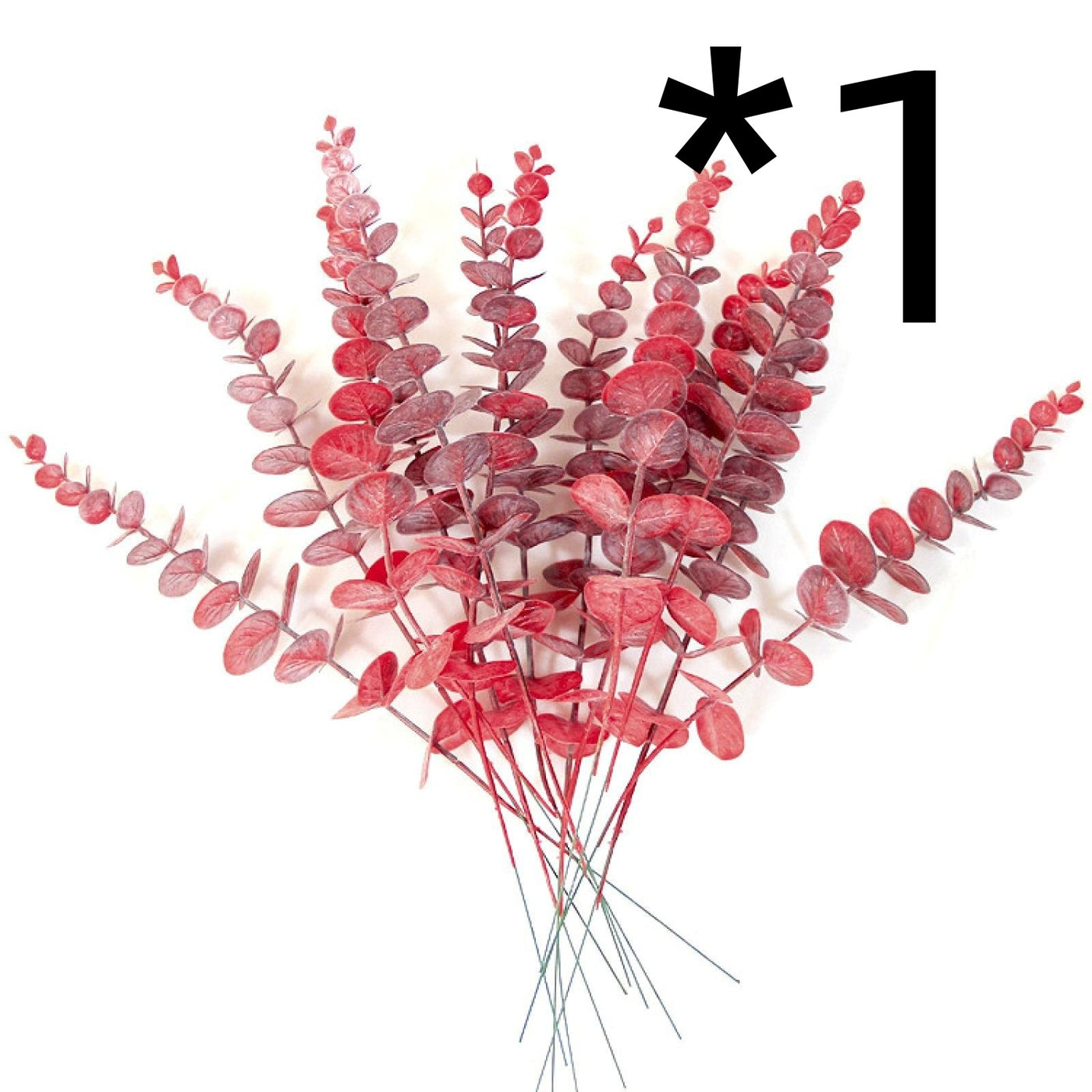 Golden Eucalyptus Decorative plant