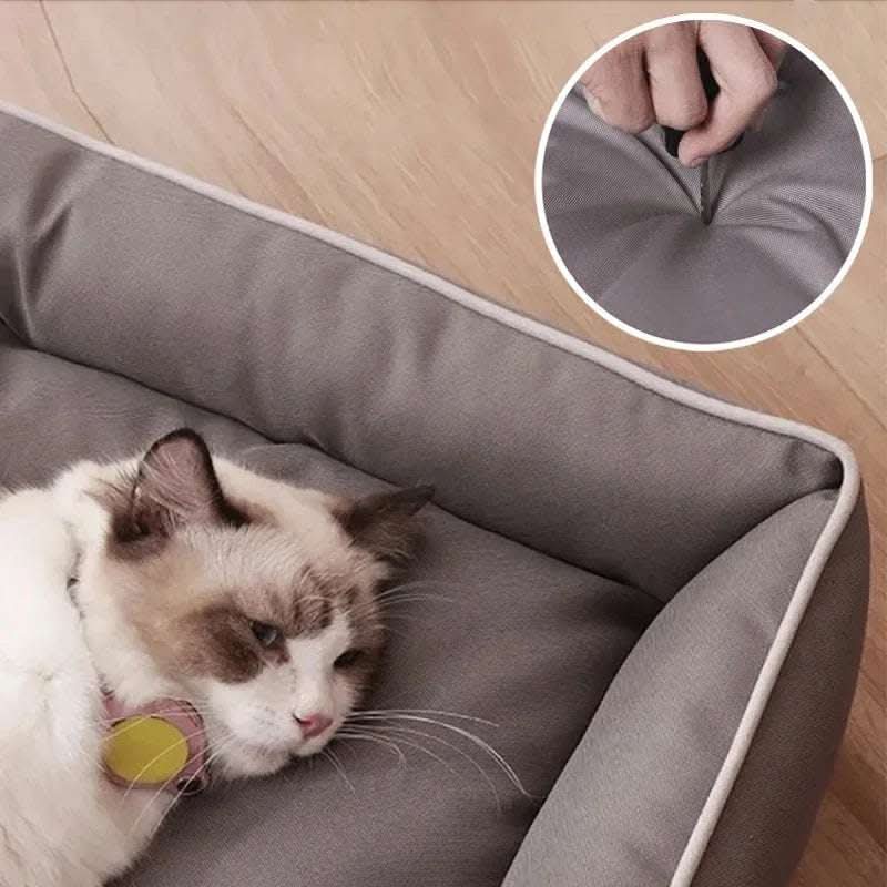 Luxury Bed For Dog Scratch Resistant Wear-resistant Waterproof Pad Pet Cat Nest Dog Cushion Soft High Rebound Sofa Dogs Supplies Fendax 4