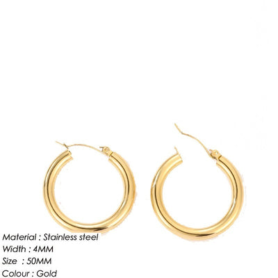 Women's Stainless Steel earrings