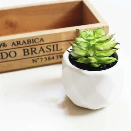Artificial Succulent Bonsai Creative Ornaments for Home Table Garden Decoration Artificial Plants with Pot Fendax 0