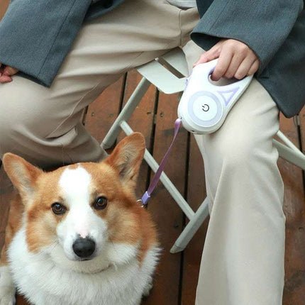 Dog Leash Retractable Leash And Dog Collar Spotlight Automatic Pet Dog Cat Traction Rope For Small Medium Dogs Pet Product Fendax 0