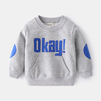 Trendy Boys Round Neck Long Sleeve Sweatshirt