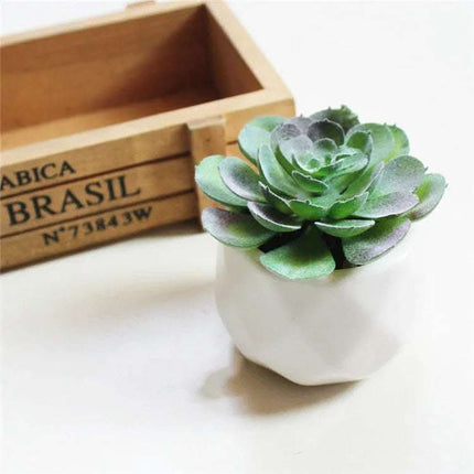 Artificial Succulent Bonsai Creative Ornaments for Home Table Garden Decoration Artificial Plants with Pot Fendax 0