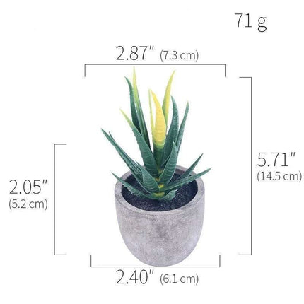 Simulation Of Succulent Potted Plants Fendax 0