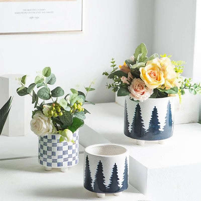 Succulents Potted Plants Pots Green Plants Simple Flowers