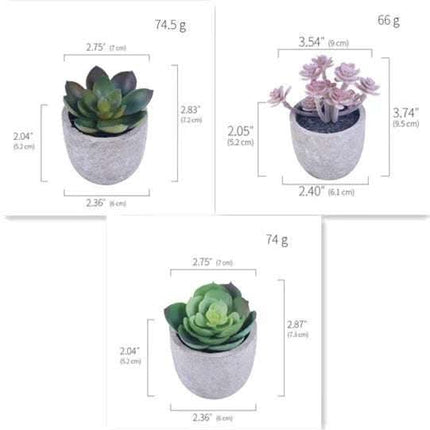 Simulation Of Succulent Potted Plants Fendax 0