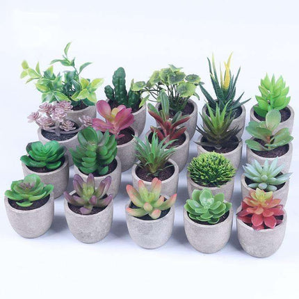 Simulation Of Succulent Potted Plants Fendax 0