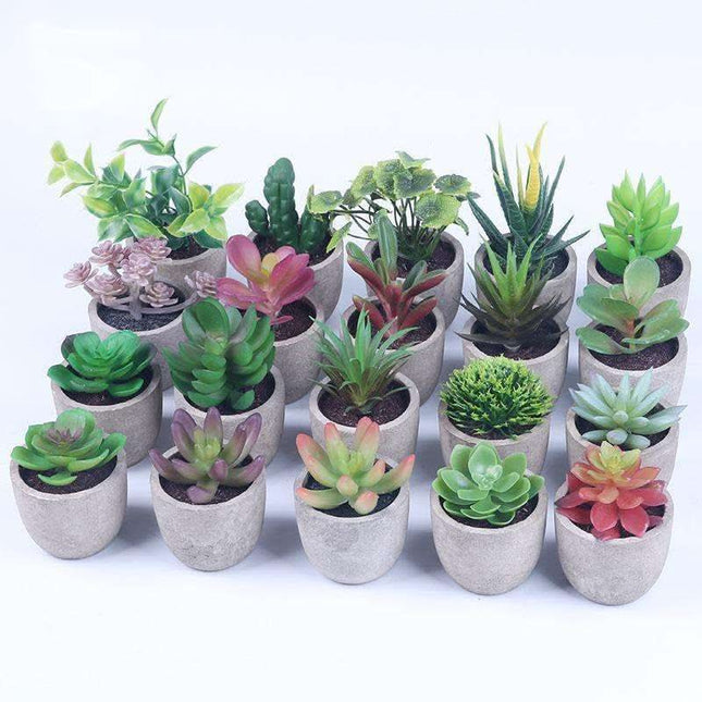 Simulation Of Succulent Potted Plants Fendax 0