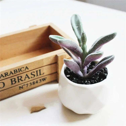 Artificial Succulent Bonsai Creative Ornaments for Home Table Garden Decoration Artificial Plants with Pot Fendax 0