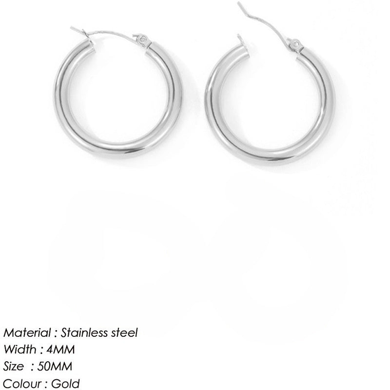 Women's Stainless Steel earrings