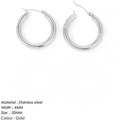 Women's Stainless Steel earrings