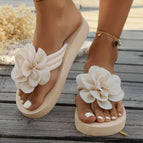 Beige / 36