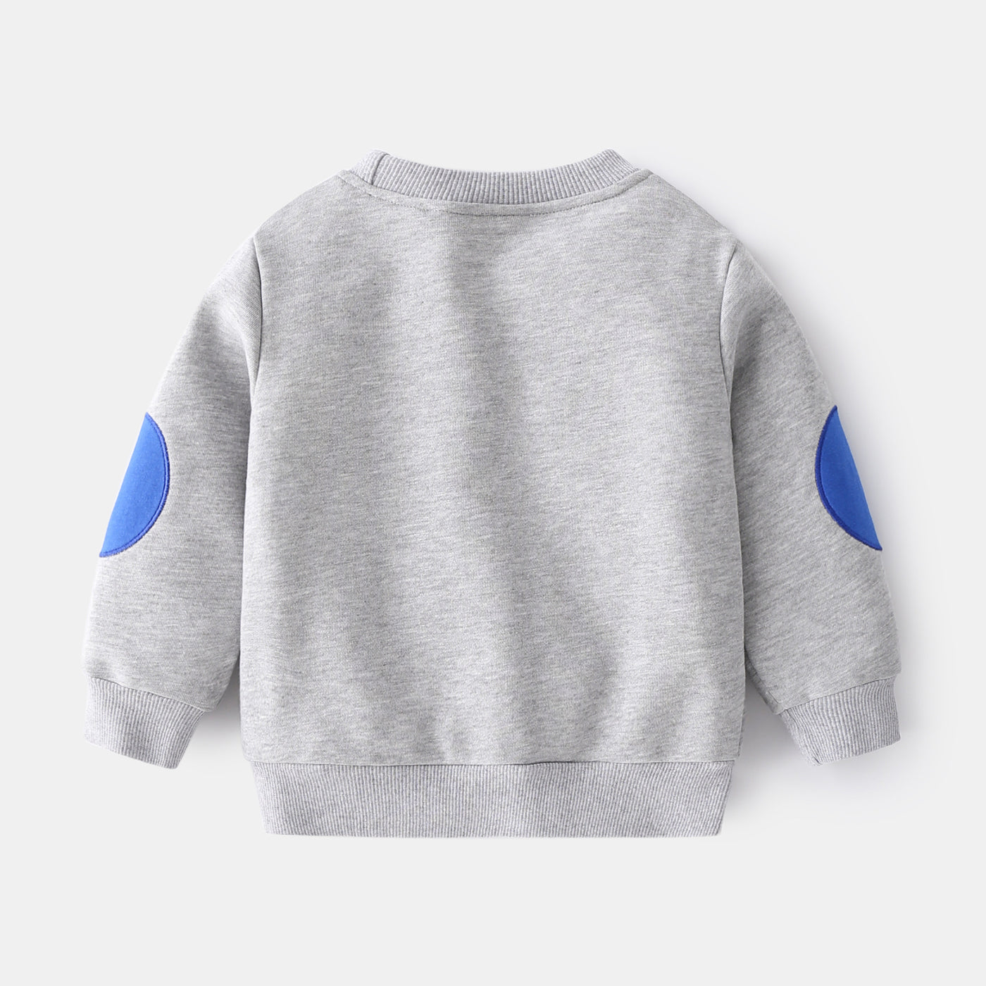 Trendy Boys Round Neck Long Sleeve Sweatshirt