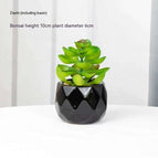 Large Stone Lotus Pot Included