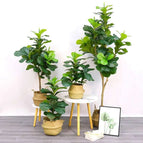 Qin Ye Rong 200CM / Black base