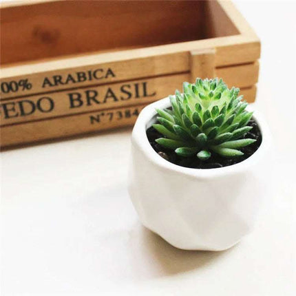 Artificial Succulent Bonsai Creative Ornaments for Home Table Garden Decoration Artificial Plants with Pot Fendax 0