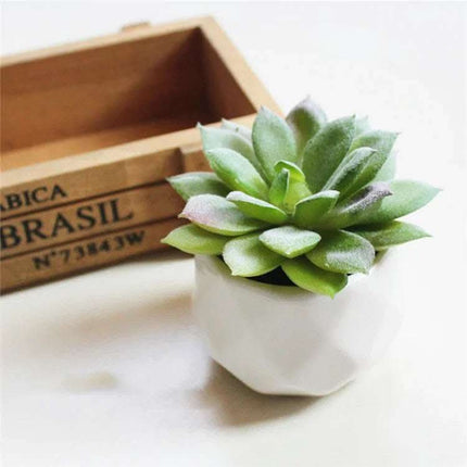 Artificial Succulent Bonsai Creative Ornaments for Home Table Garden Decoration Artificial Plants with Pot Fendax 0