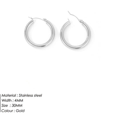 Women's Stainless Steel earrings