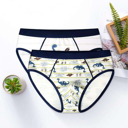 Boy's Underwear Boxer Cotton Children's Underwear Fendax 0