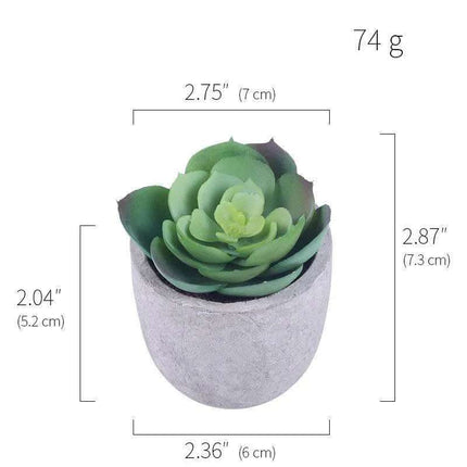 Simulation Of Succulent Potted Plants Fendax 0