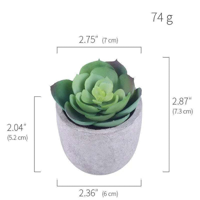 Simulation Of Succulent Potted Plants Fendax 0