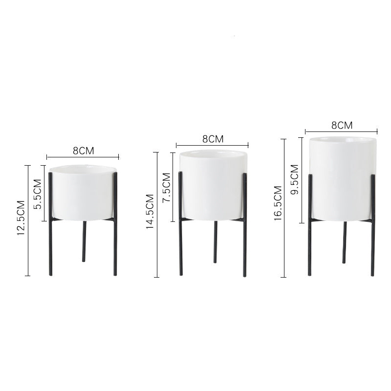 Plant Succulent Flowerpot