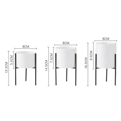 Plant Succulent Flowerpot