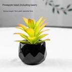 Pineapple Head Pot Included