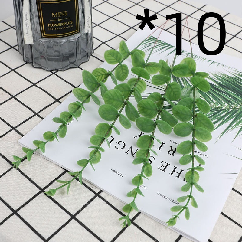 Golden Eucalyptus Decorative plant