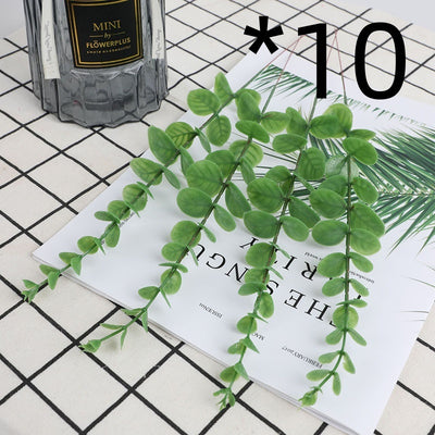 Golden Eucalyptus Decorative plant