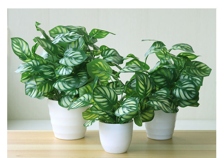 Fake Indoor And Outdoor Decoration