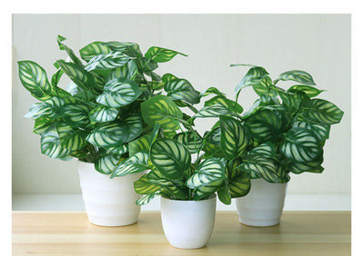 Fake Indoor And Outdoor Decoration