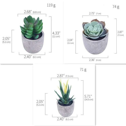 Simulation Of Succulent Potted Plants Fendax 0