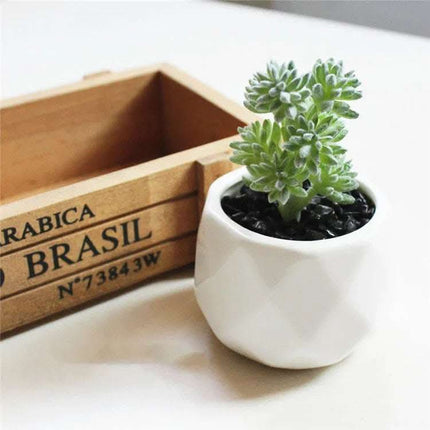 Artificial Succulent Bonsai Creative Ornaments for Home Table Garden Decoration Artificial Plants with Pot Fendax 0