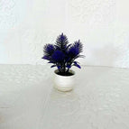 Purple Orchid