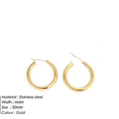 Women's Stainless Steel earrings