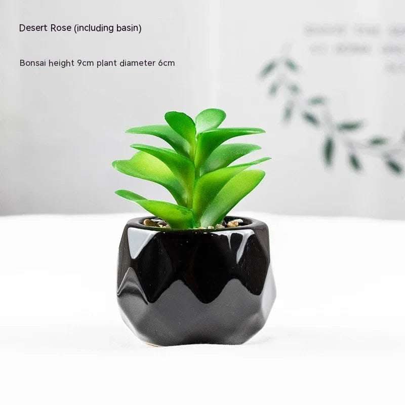 Artificial Green Plant Succulent Artificial Plant Home Furnishings Fendax 0