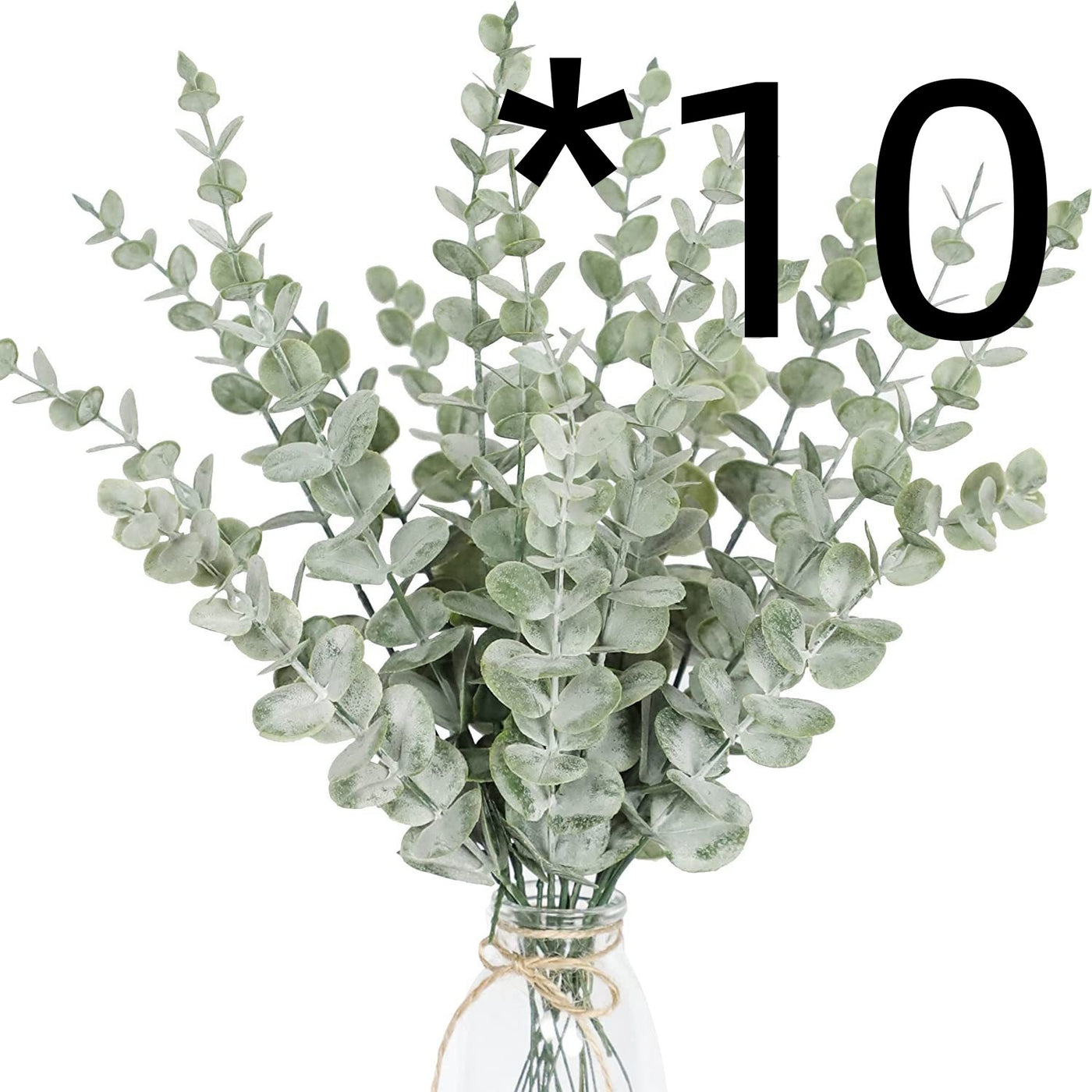 Golden Eucalyptus Decorative plant