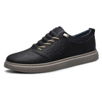 Black / 36