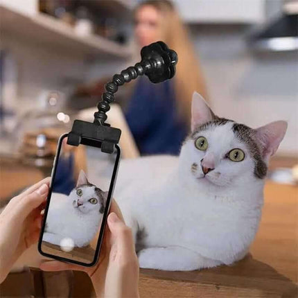 Pet Photography Tool Cat Dog And Dog Viewing Lens Teddy Camera Toy Mobile Phone Camera Holder Selfie Clip Supplies Pet Products Fendax 0