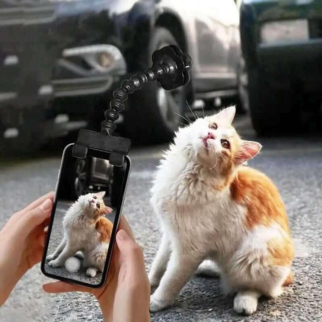 Pet Photography Tool Cat Dog And Dog Viewing Lens Teddy Camera Toy Mobile Phone Camera Holder Selfie Clip Supplies Pet Products Fendax 0