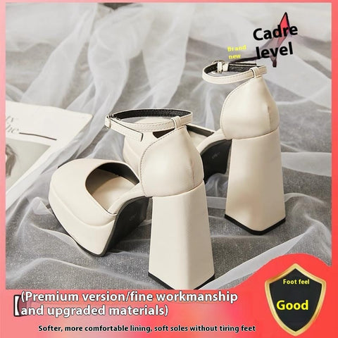 Trendsi 0 Upgraded Beige / 35 Super High Heel Platform Thick Heel Fairy White Mary Jane Shoes 12cm